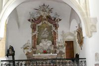 Der Dom von Wiener Neustadt